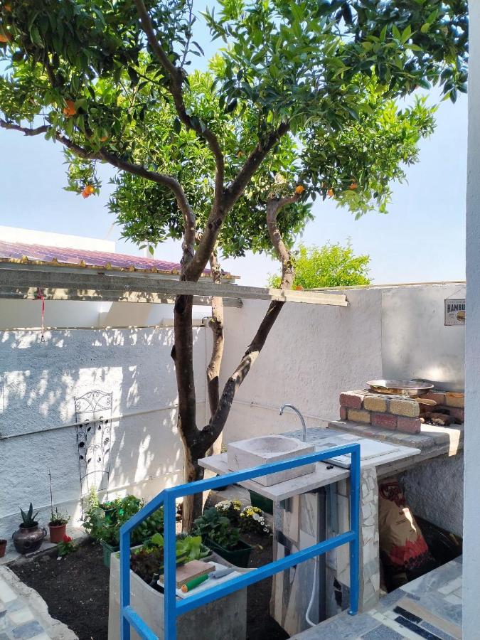 Casa Da Laranjeira Apartment Монтаржил Екстериор снимка